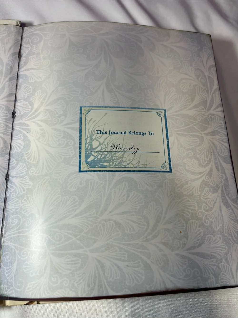 Disney Press The Hidden World of Fairies Hardcover 2008 1st Edition Y2K